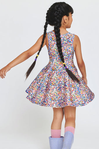 Girls Skater Dress in Rainbow Nonpareils