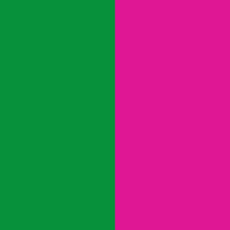 Girls Colorblock Sport Bikini in Terez Pink and Spring Green
